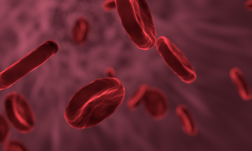 Ezek a vérkép eltérések utalnak vérszegénységre